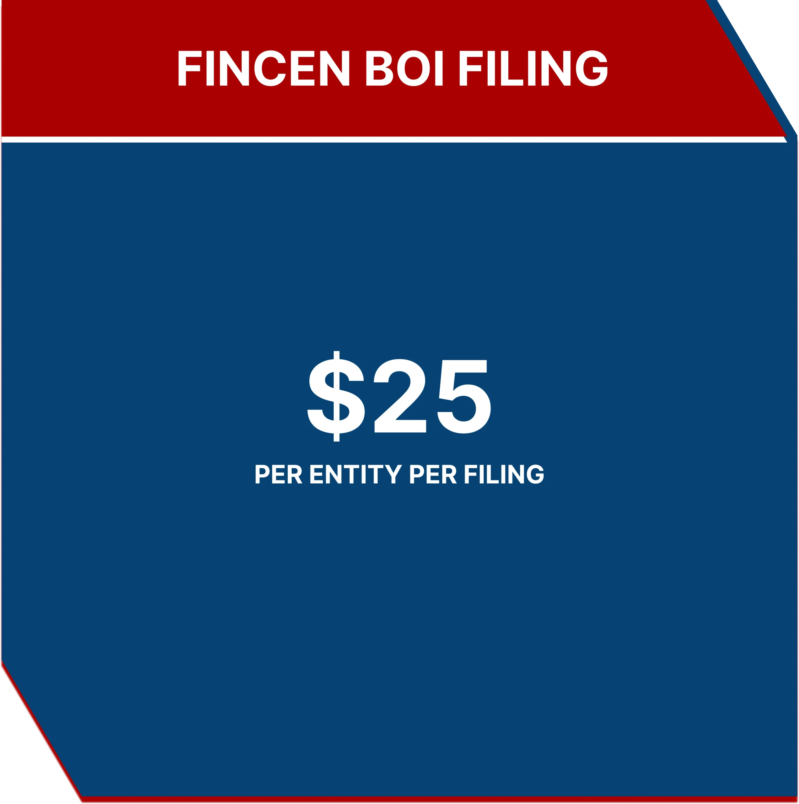 FinCEN BOI Filing