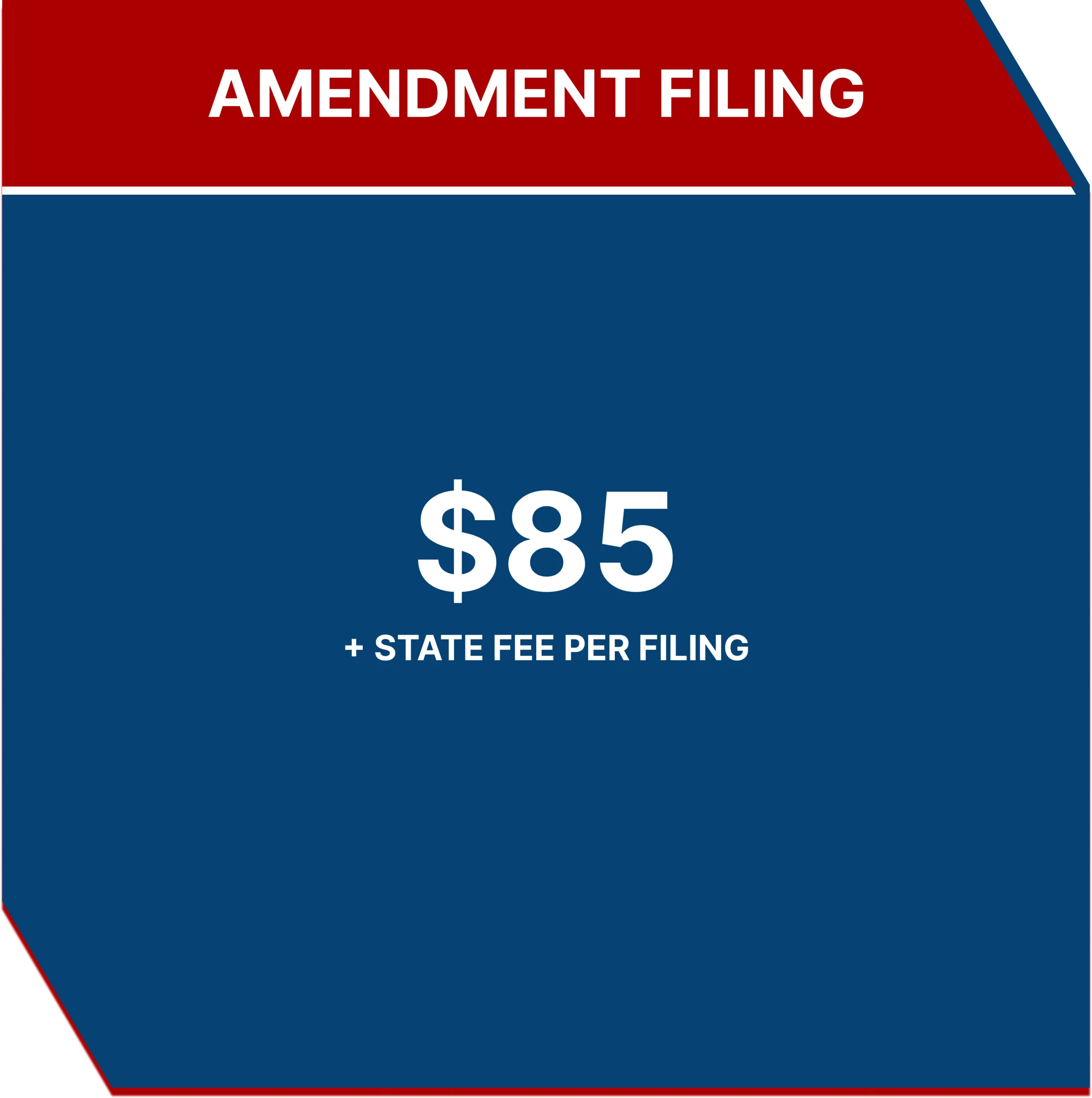 Amendment Filing