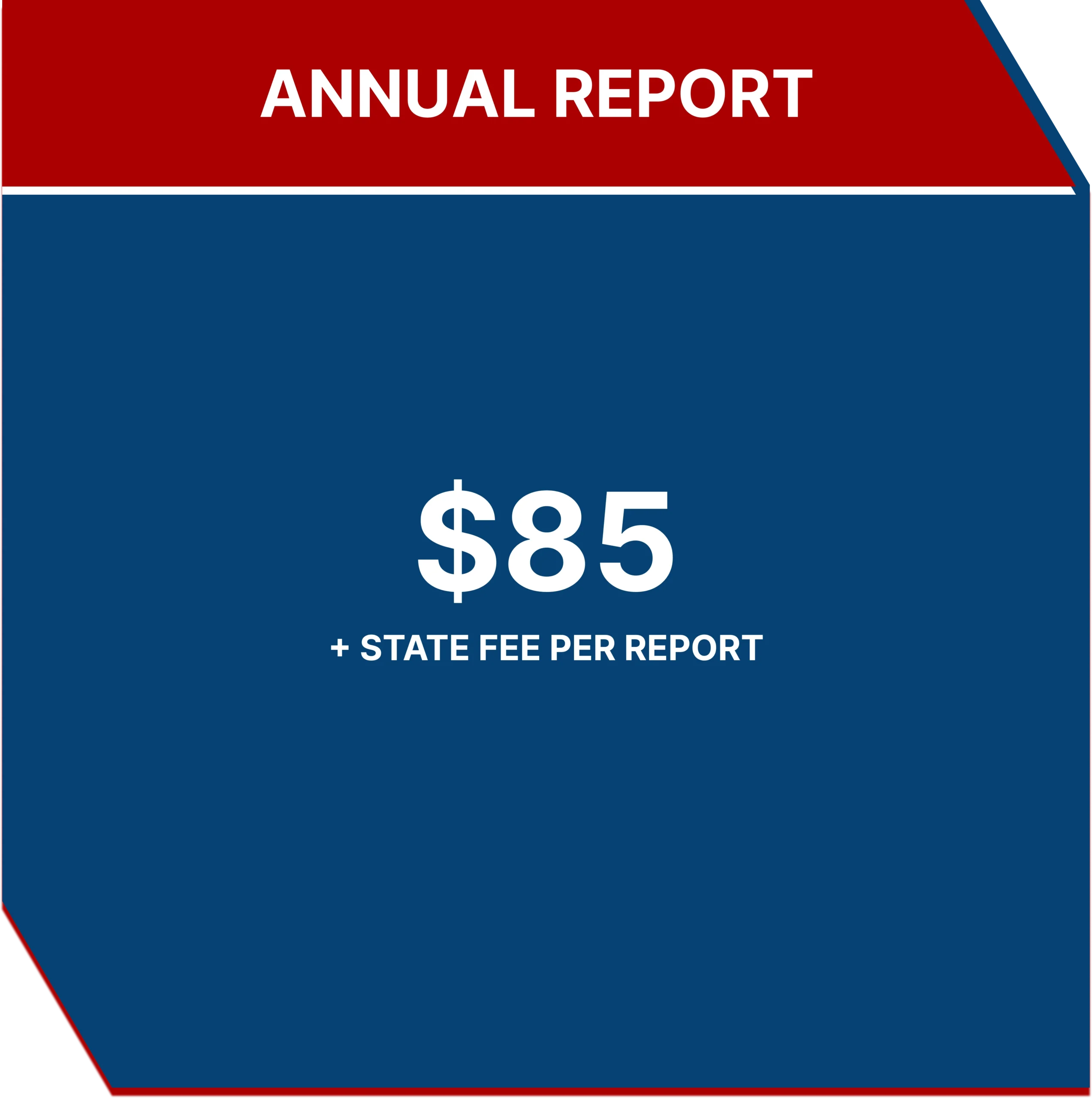 Annual Report Filing
