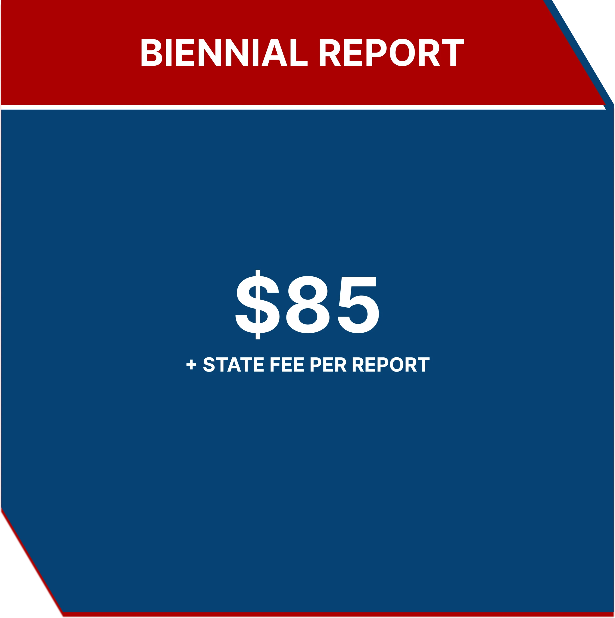 Biennial Report Filing